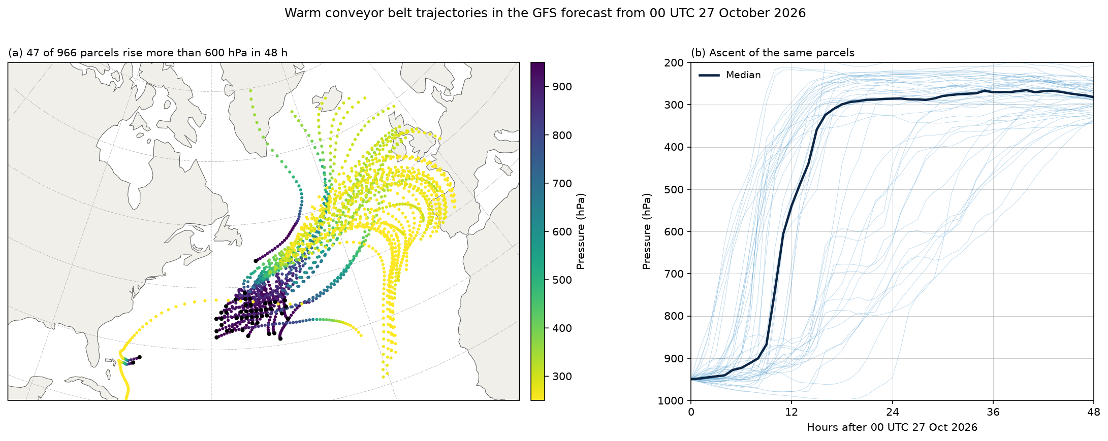Warm conveyor belt trajectories
